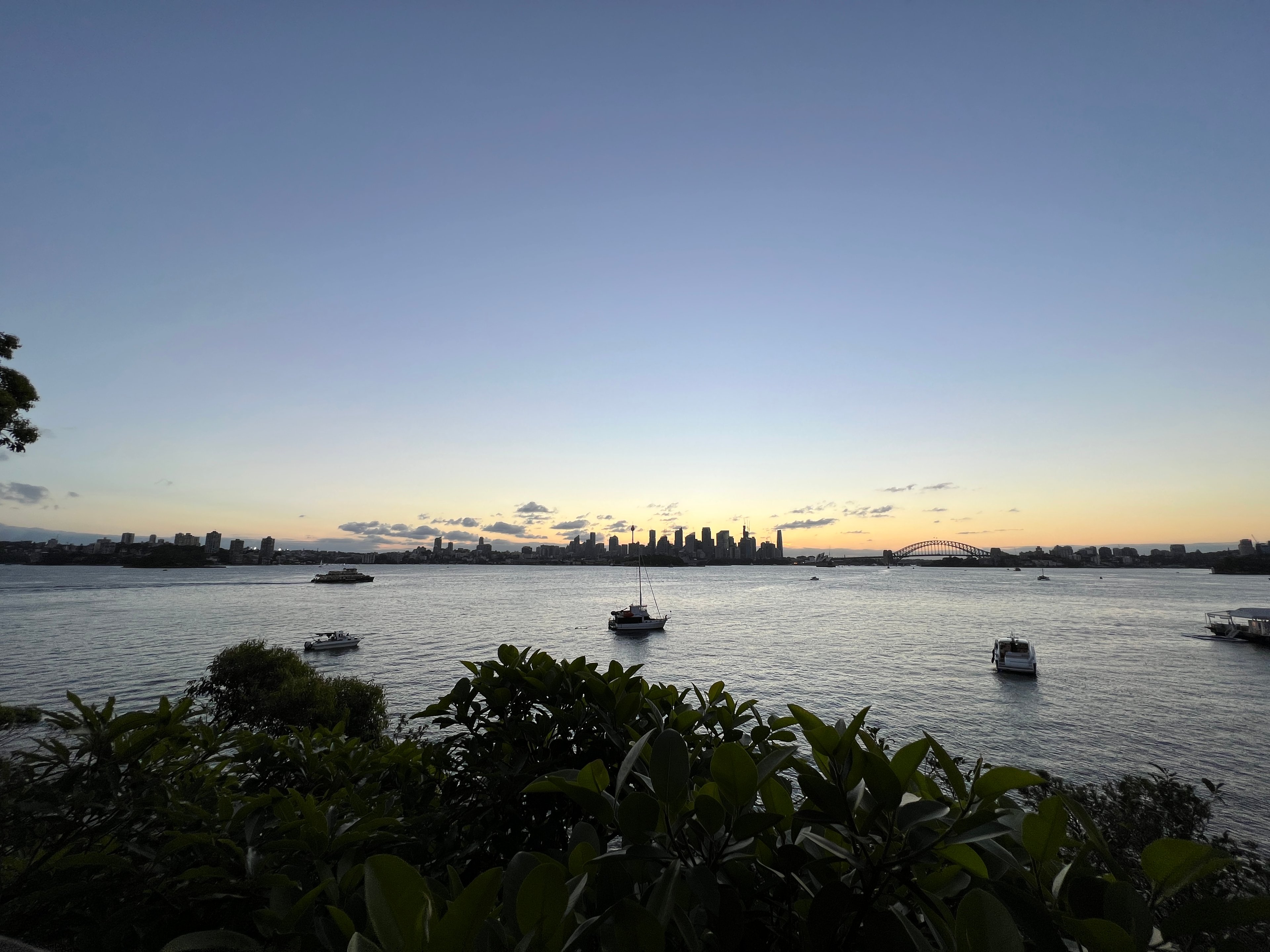 Profile Cover