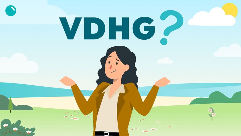 Is VDHG too conservative for long-term growth? | Pearler