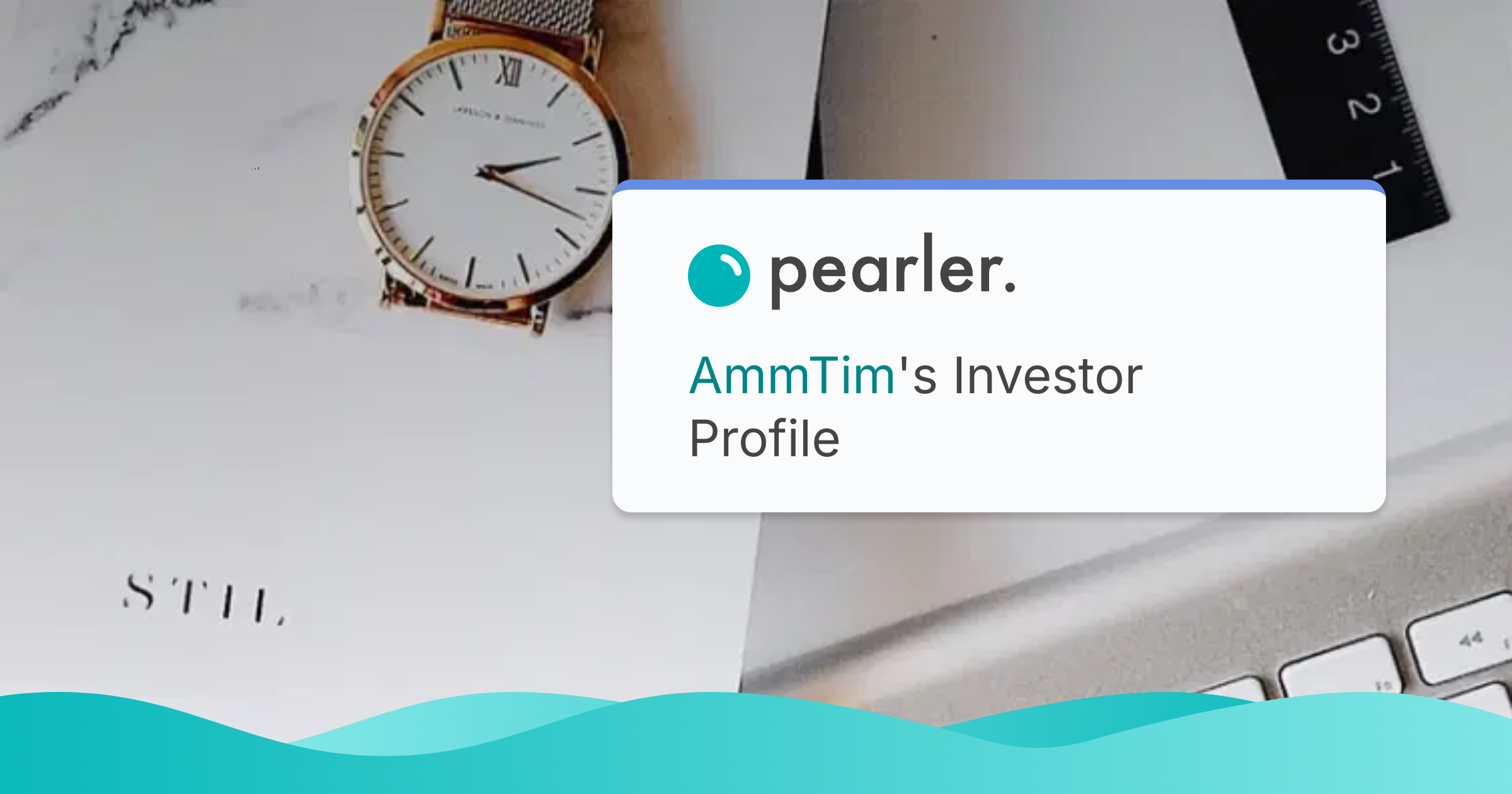 AmmTim's Investment Profile | Pearler